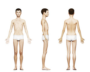 3d rendered medical illustration of a thin male body - obrazy, fototapety, plakaty