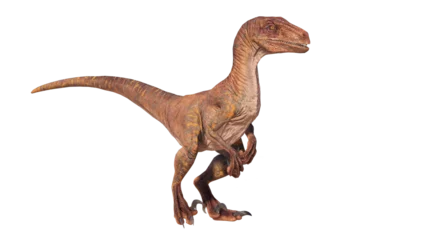 Foto op Aluminium velociraptor dinosaur roaring on a blank background PNG © akiratrang