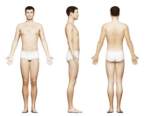 3d rendered medical illustration of a tall male body