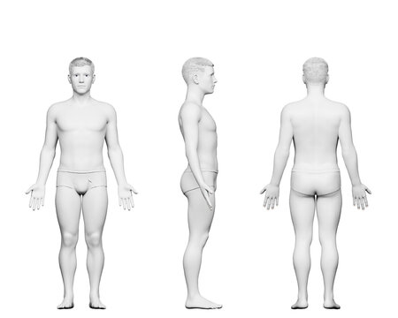 3d rendered medical illustration of a short male body