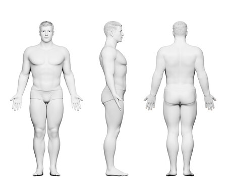 3d rendered medical illustration of a stocky male body