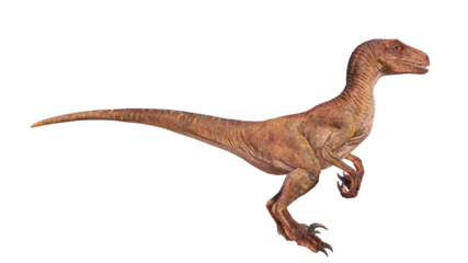 Keuken spatwand met foto velociraptor dinosaur roaring on a blank background PNG © akiratrang