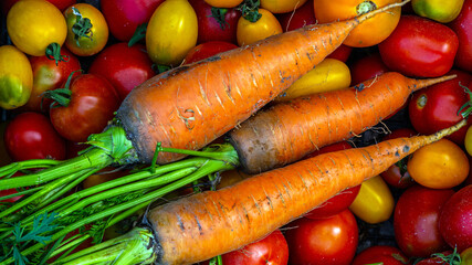 tomatoes, carrots on the table.Carrots, tomatoes just picked in the garden on wooden boards. carrots & tomatoes.