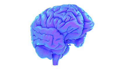 3d rendered medical illustration of an abstract human brain