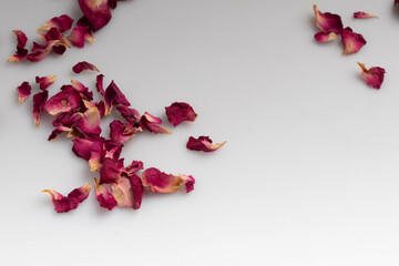 dried pink rose petals on white background