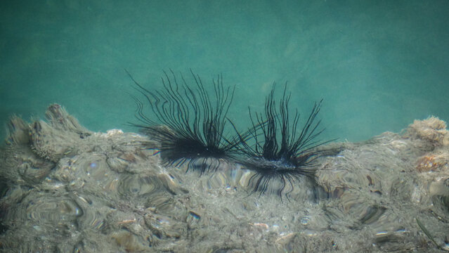 Mu Ko Ang Thong National Marine Park in Thailand