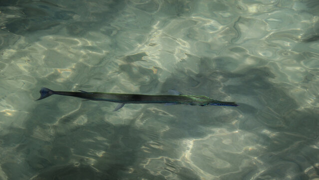 Mu Ko Ang Thong National Marine Park in Thailand