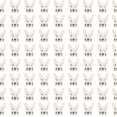 illustration background, square format, seamless pattern. cute dog, pet winks on a white background. concept of animals, cuteness and background