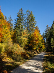 bayerischer wald