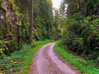 Obraz premium Rural road in the forest between rocks