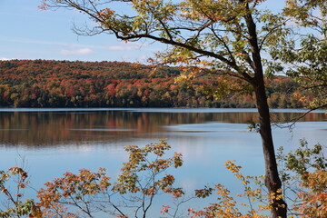Autumn colors have arrived at Walloon Lake in Northern Michigan. - obrazy, fototapety, plakaty
