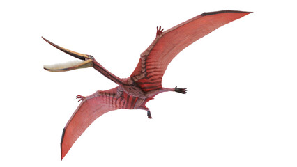 3d rendered dinosaur illustration of the Pterodaustro