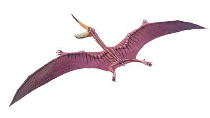 3d rendered dinosaur illustration of the Pterodaustro
