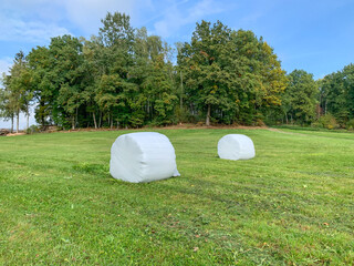 Bales wrapped in white polyethylene in the middle of a field