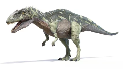 Gordijnen 3d rendered dinosaur illustration of the Acrocanthosaurus © Sebastian Kaulitzki