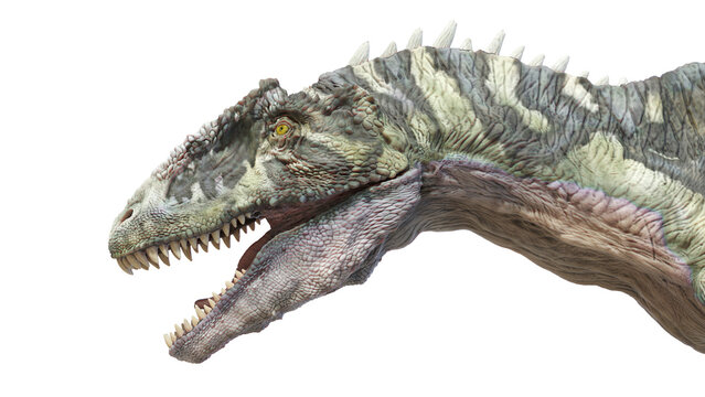 3d rendered dinosaur illustration of the Acrocanthosaurus