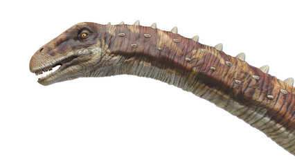 3d rendered dinosaur illustration of the Augustinia © Sebastian Kaulitzki