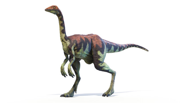 3d rendered dinosaur illustration of the Archaeornithomimus