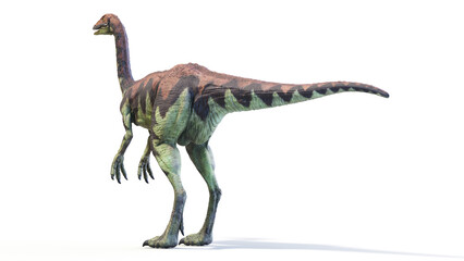 3d rendered dinosaur illustration of the Archaeornithomimus