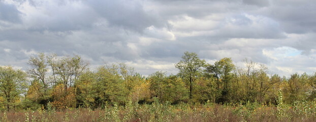 Paesaggio naturale in una giornata d'autunno