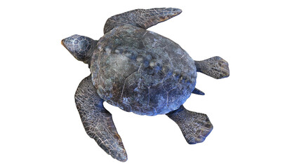 Fototapeta premium 3d rendered dinosaur illustration of the Archelon