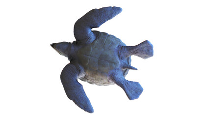 3d rendered dinosaur illustration of the Archelon © Sebastian Kaulitzki