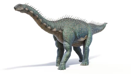 Gordijnen 3d rendered dinosaur illustration of the Barapasaurus © Sebastian Kaulitzki