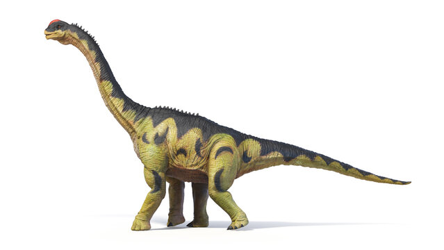 3d rendered dinosaur illustration of the Camarasaurus