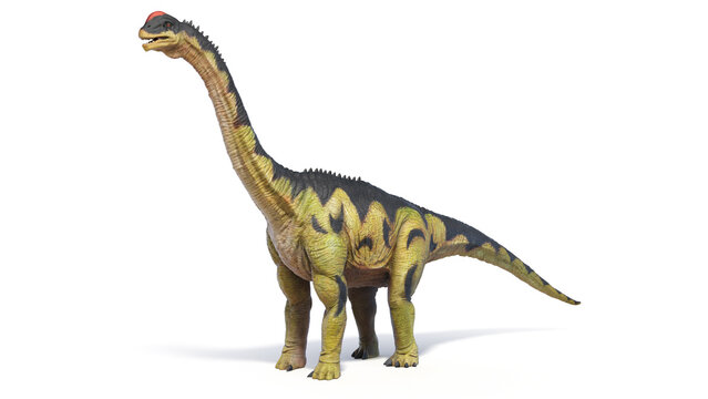 3d rendered dinosaur illustration of the Camarasaurus
