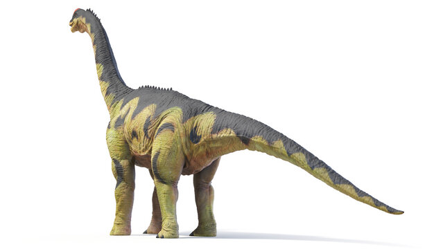 Fototapeta 3d rendered dinosaur illustration of the Camarasaurus