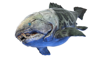 3d rendered dinosaur illustration of the Dunkleosteus © Sebastian Kaulitzki