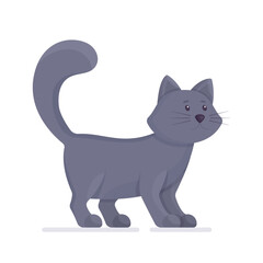 Vector illustration of a pet. Adorable gray kitten. The sulfur furry seal is isolated on a white background. 