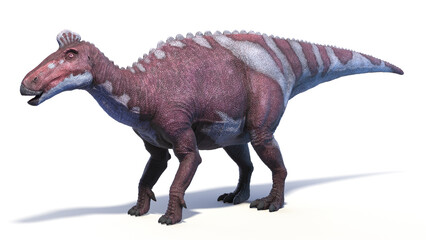 3d rendered dinosaur illustration of the Edmontosaurus © Sebastian Kaulitzki