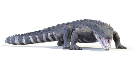 3d rendered dinosaur illustration of the Kaprosuchus © Sebastian Kaulitzki