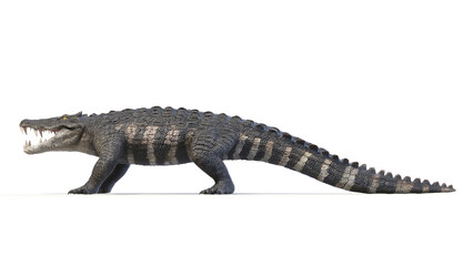 3d rendered dinosaur illustration of the Kaprosuchus