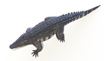 3d rendered dinosaur illustration of the Kaprosuchus