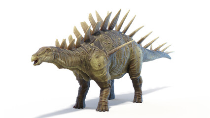 Fototapeta premium 3d rendered dinosaur illustration of the Kentrosaurus