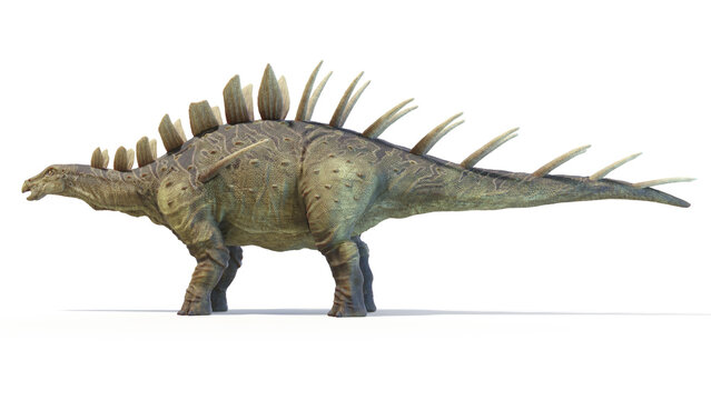 3d rendered dinosaur illustration of the Kentrosaurus