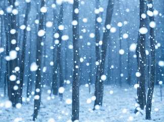 A forest where snow is falling, Generative AI