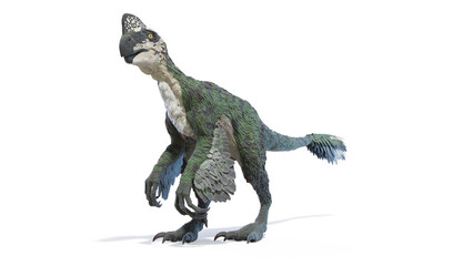 Obraz na płótnie Canvas 3d rendered dinosaur illustration of the Oviraptor
