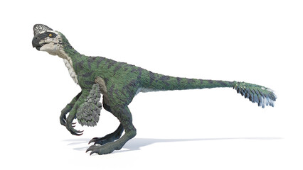 3d rendered dinosaur illustration of the Oviraptor