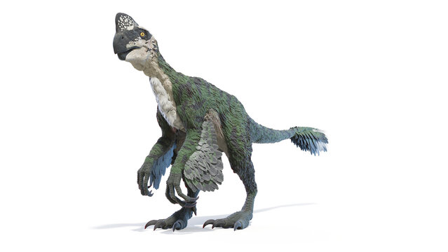 3d rendered dinosaur illustration of the Oviraptor