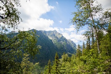 Velka Studena dolina valley in Slovakia on a cloudy day © Szabi Bella/Wirestock Creators