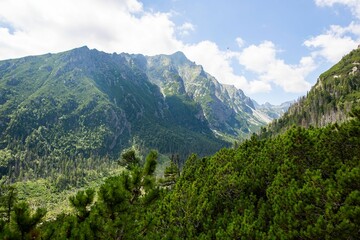 Velka Studena dolina valley in Slovakia on a cloudy day © Szabi Bella/Wirestock Creators