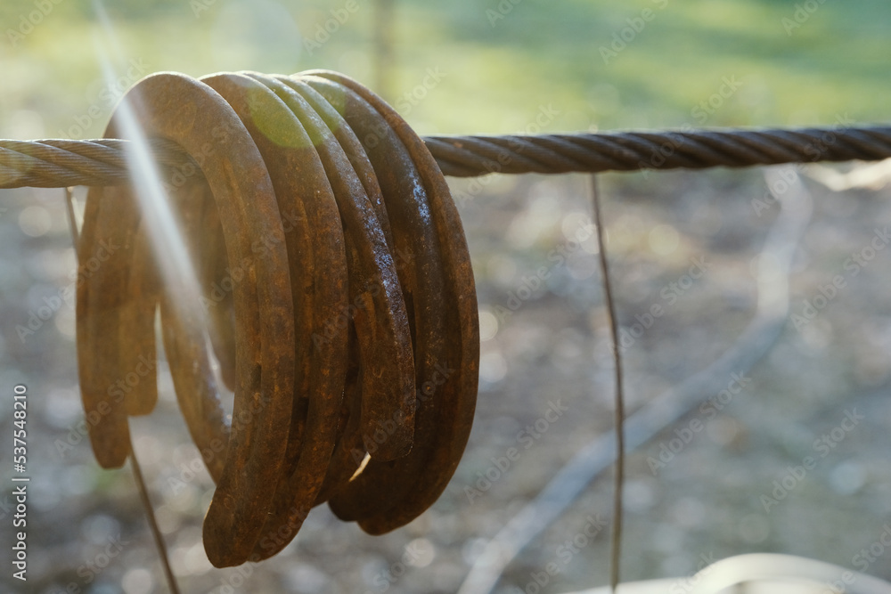 Poster Rusted horseshoes on fence of farm with copy space on blurred background in sunset for western lifestyle concept. - Posters