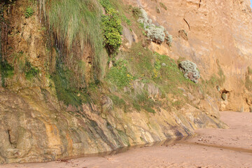 cliff at gibson steps along the great ocean road in australia  - obrazy, fototapety, plakaty