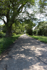 Carreteras de Panamá