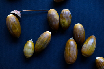 Brown oak nuts acorns close-up on a black background. Oak seeds.