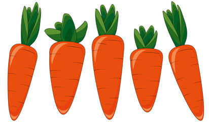 Carrot vector pack. Cartoon background