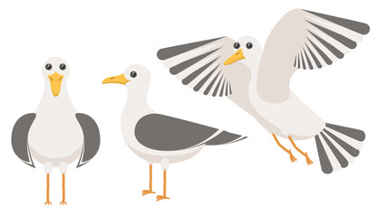 Set Abstract Collection Flat Cartoon Different Animal Birds Seagulls Stand, Flies Vector Design Style Elements Fauna Wildlife